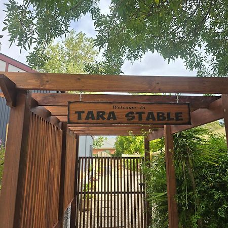 Tara Stables Villa Littlehampton Esterno foto